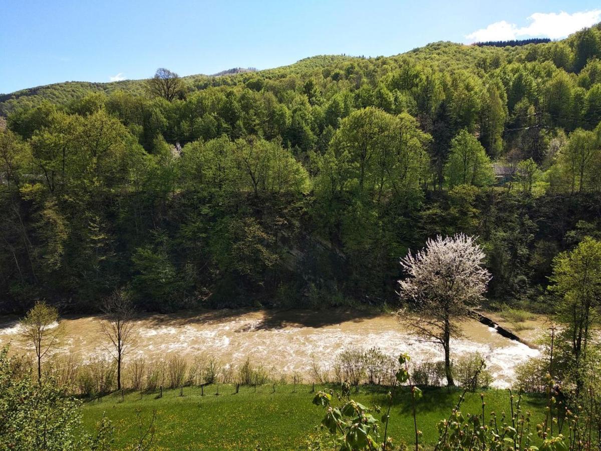Акорди Плеса Yaremche Exterior photo